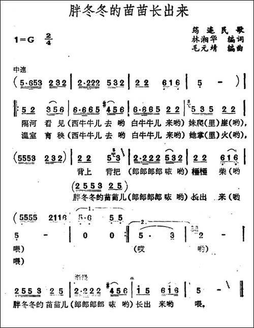 胖冬冬的苗苗长出来