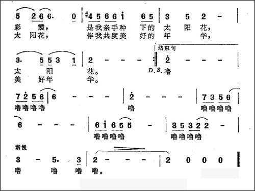 太阳花-乔方词-平远曲