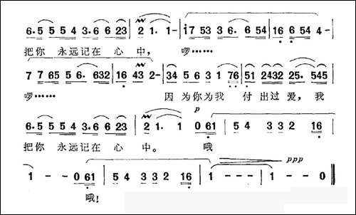 心中珍藏一片情