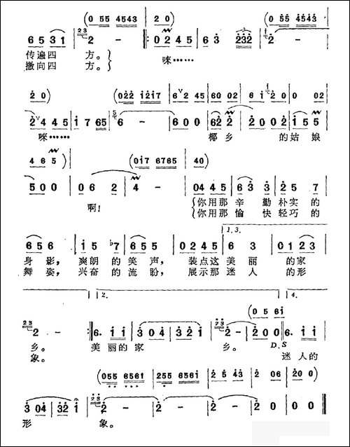 椰乡的姑娘