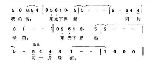 阳光下撑起同一片绿茵
