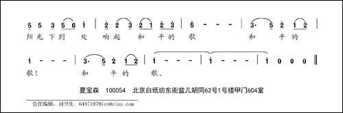 北京的白鸽