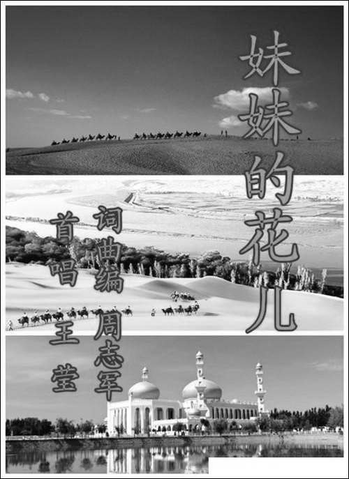 妹妹的花儿