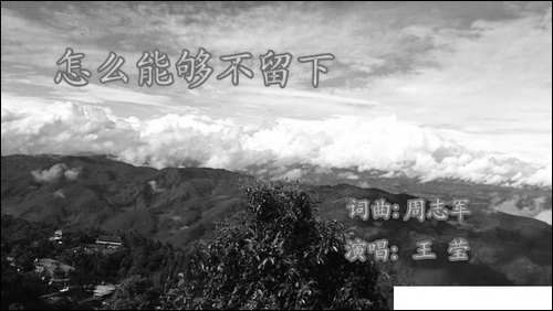 我怎么能够不留下-又名：怎么能够不留下