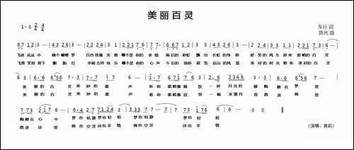 美丽百灵