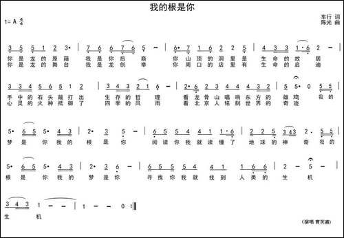 我的根是你