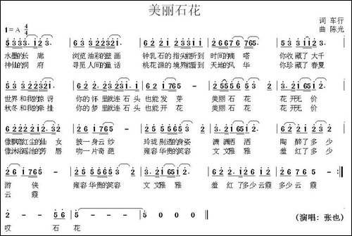 美丽石花