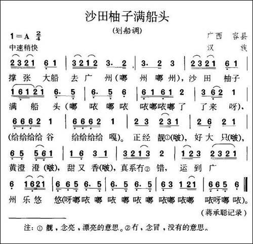 沙田柚子满船头