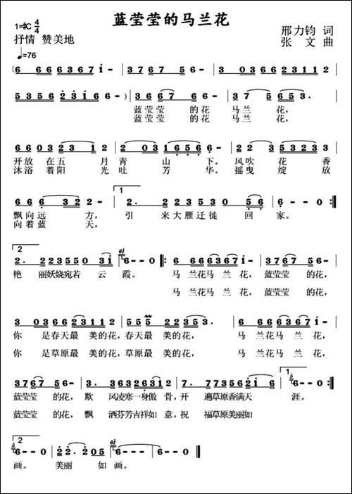 蓝莹莹的马兰花