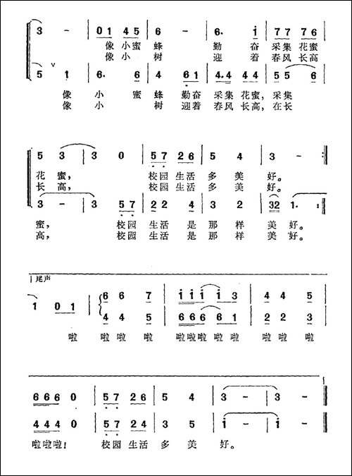 每天
