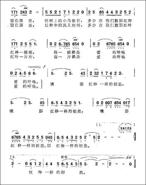 红桦一样的初恋