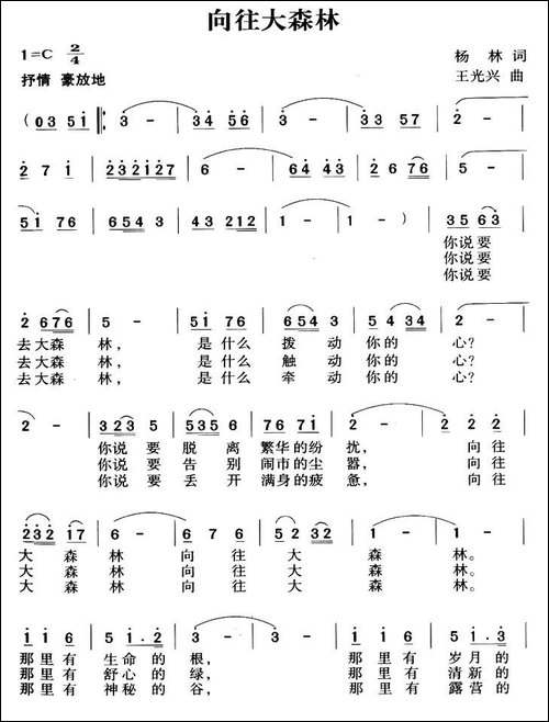 向往大森林