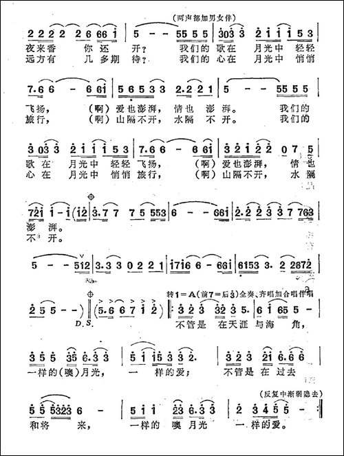 一样的月光一样的爱