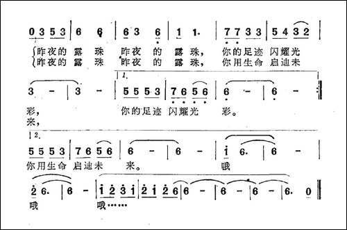 昨夜的露珠