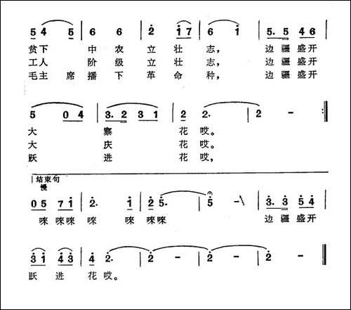边疆盛开跃进花