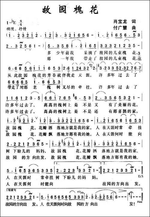 故园槐花