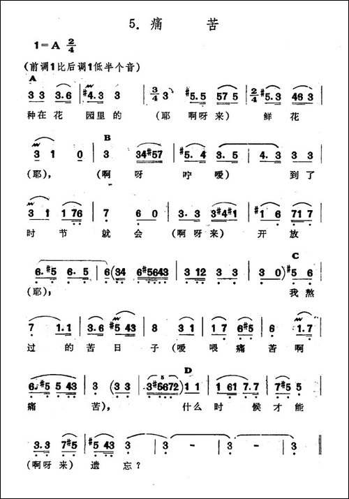 痛苦-新疆伊犁-维吾尔民歌-第十套《瓦黛里哈》