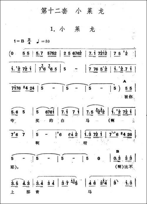 小莱龙-新疆伊犁-维吾尔民歌-第十二套《小莱龙》