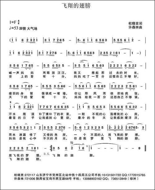 飞翔的翅膀