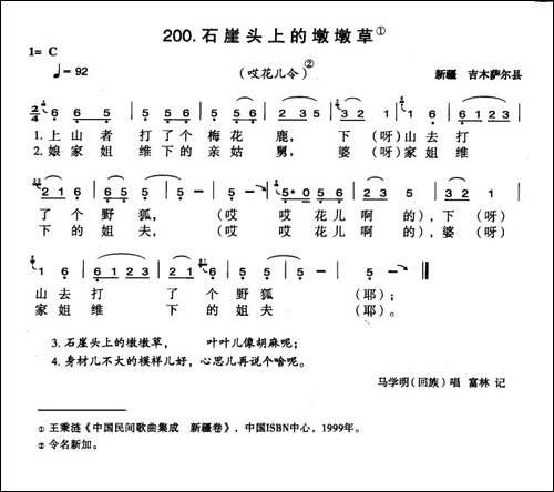 石崖头上的墩墩草