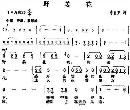 野姜花