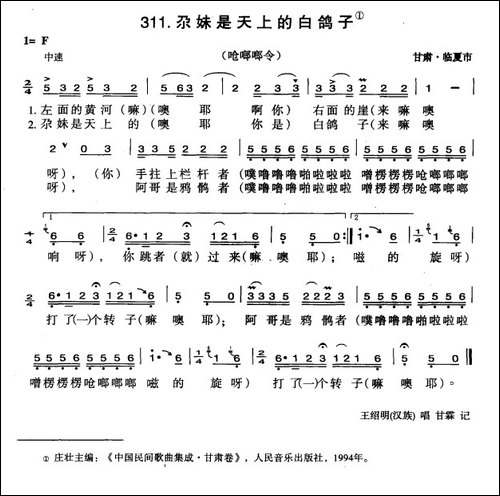 尕妹是天上的白鸽子