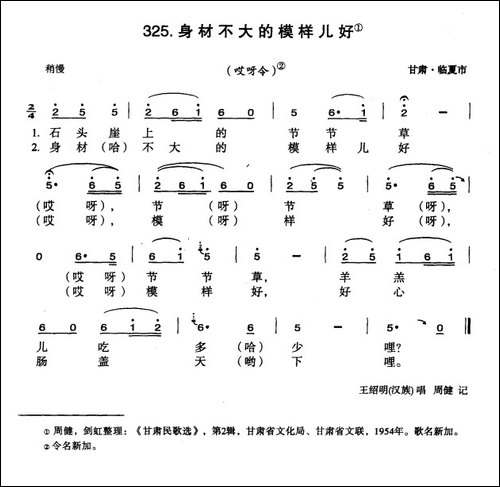 身材不大的模样儿好