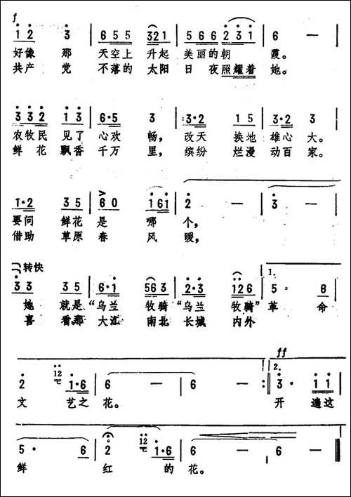 草原的鲜花