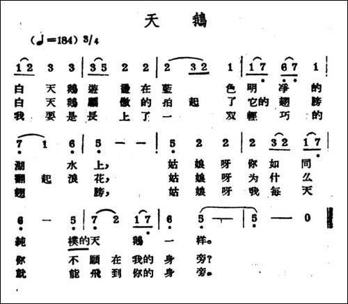 天鹅-哈萨克民歌