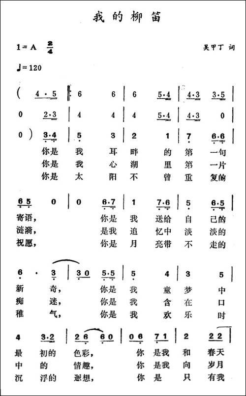 我的柳笛