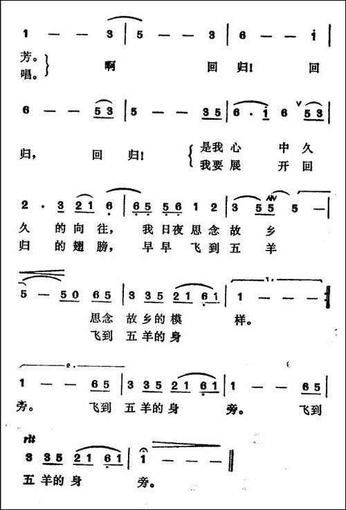 我的故乡在北回归线上