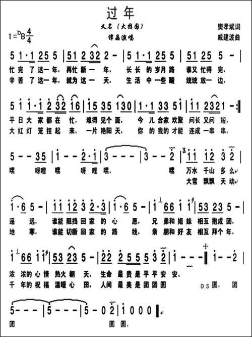 过年-又名：大团圆