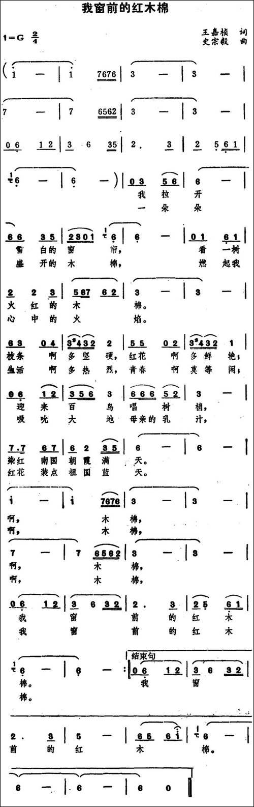 我窗前的红木棉
