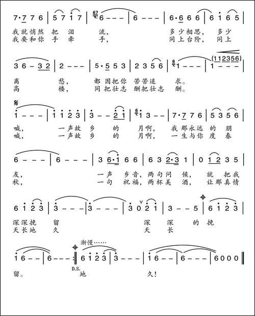 明月故乡圆-杨涛词-羊鸣曲