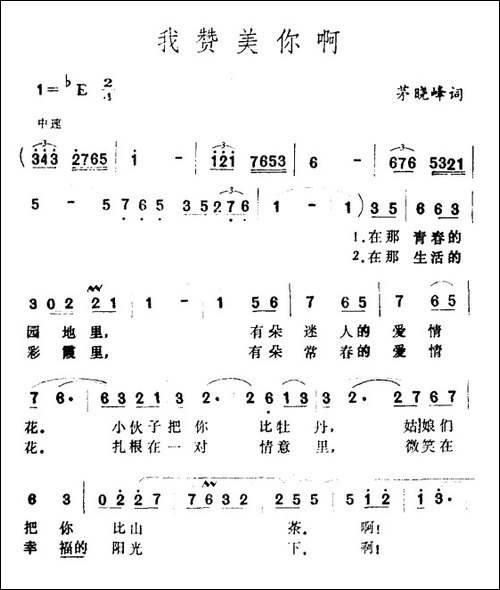我赞美你啊