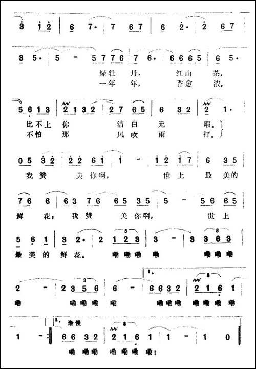 我赞美你啊
