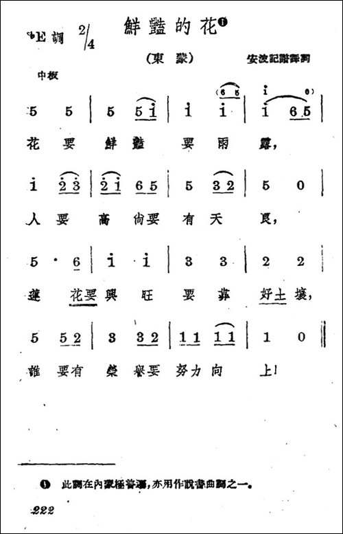 鲜艳的花