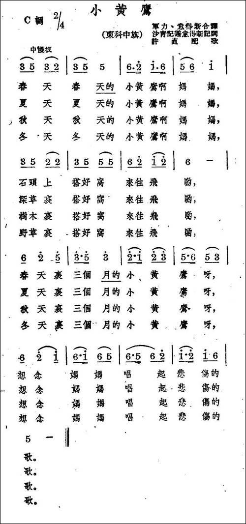小黄鹰