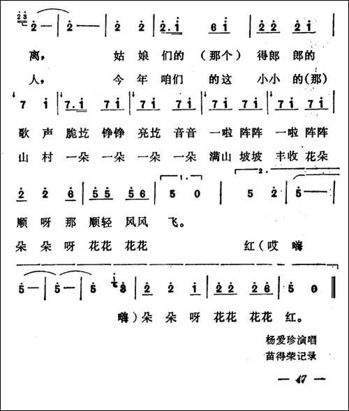 菜园小曲