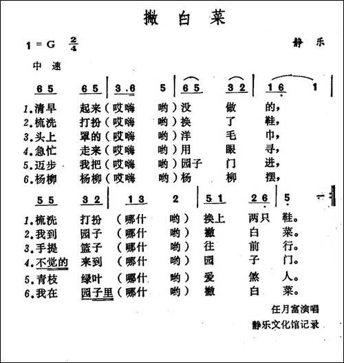 撇白菜