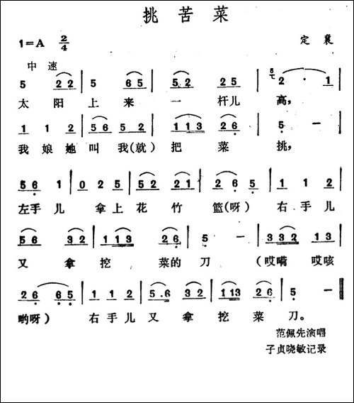 挑苦菜-