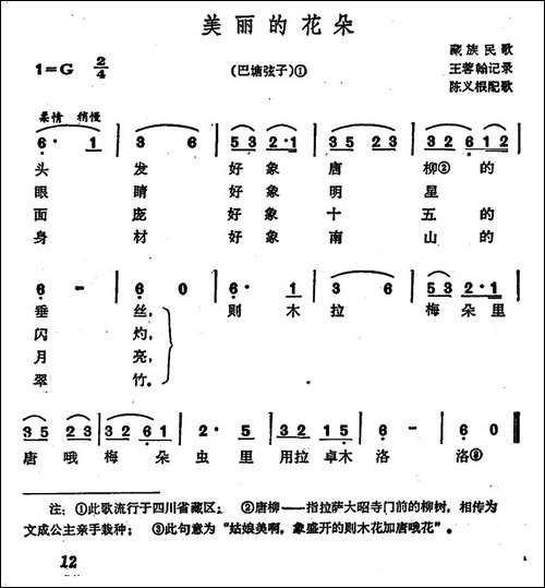 美丽的花朵-巴塘弦子