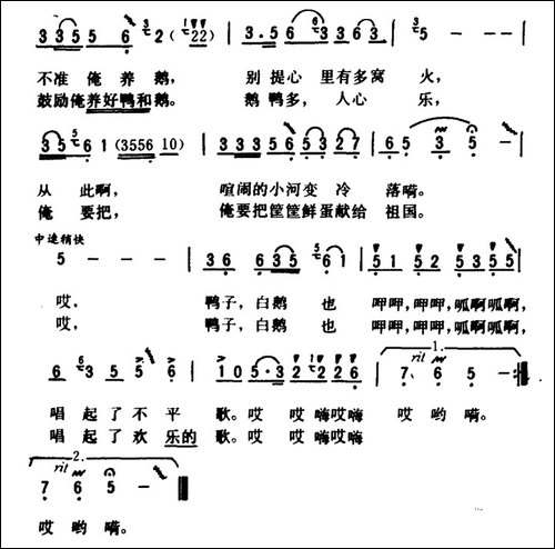 鸭子、白鹅唱起了欢乐歌
