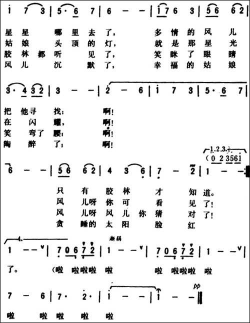 胶林之夜-