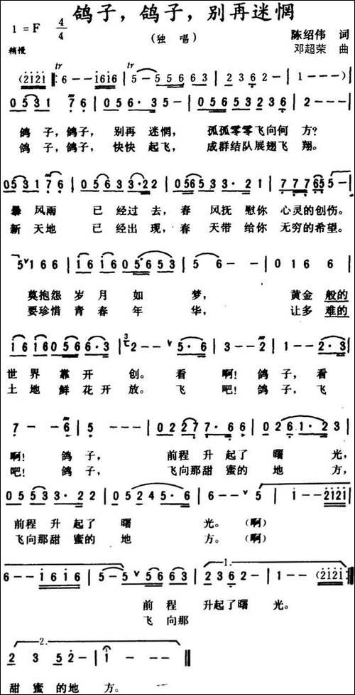 鸽子，鸽子，别再迷惘-