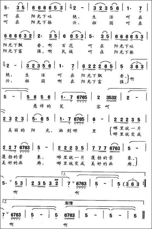 美丽的阳光