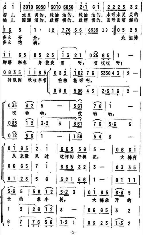 幸福的种子开了花-