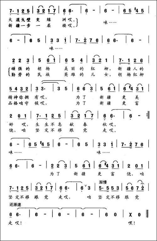 胡杨和红柳