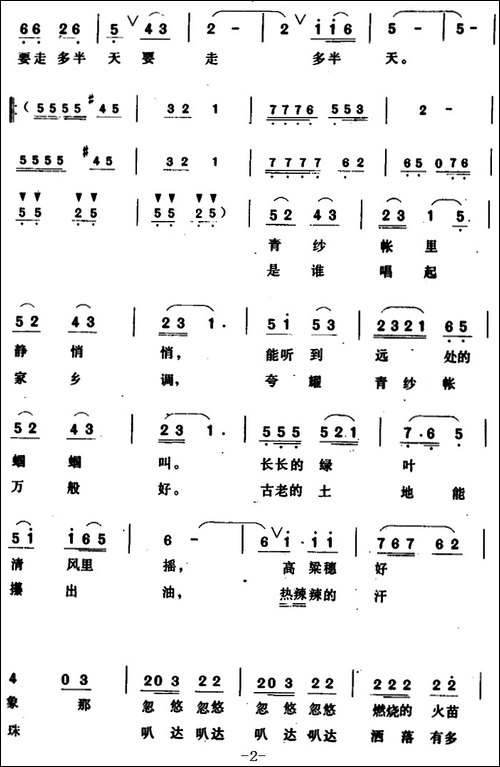 青纱帐-