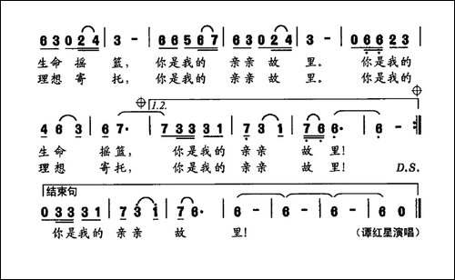 桑植之恋